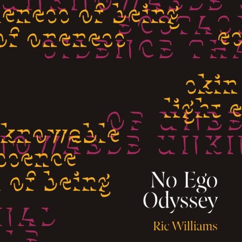 NO EGO ODYSSEY: STAGE 2 ILLUMINATION